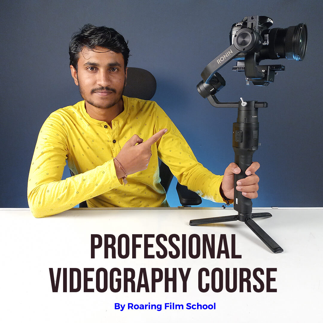 Online Courses - Roaring Film School