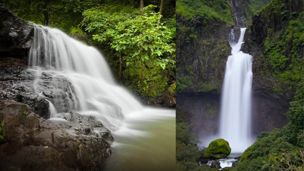 Smartphone Photography Course